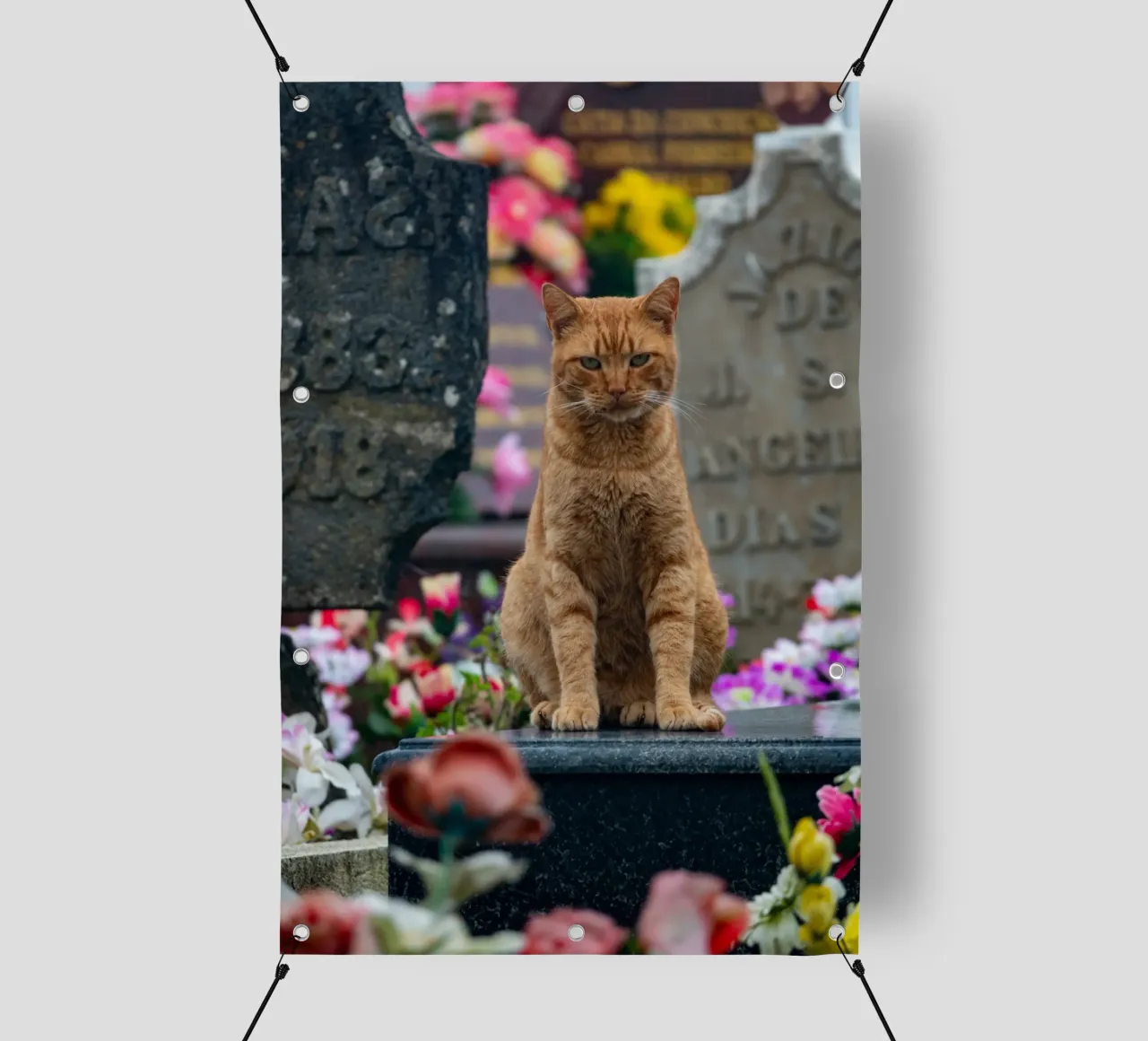 Grumpy cat pvc cover by anderm