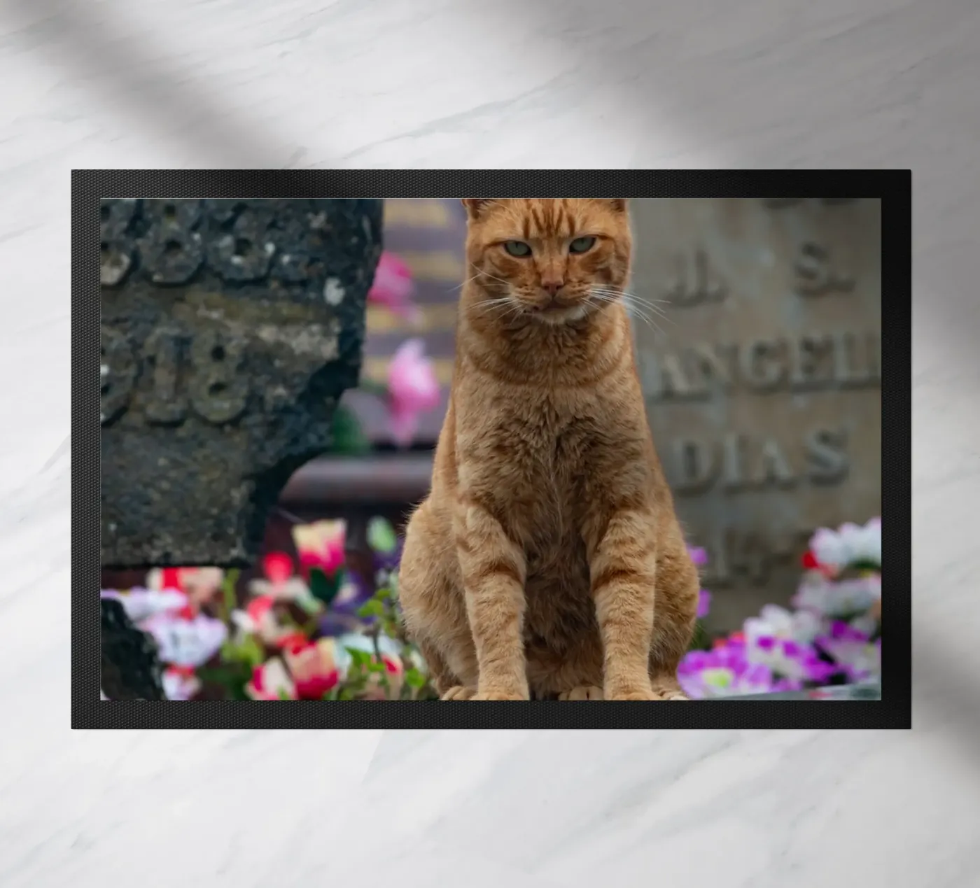 Grumpy cat Fußmatte von anderm