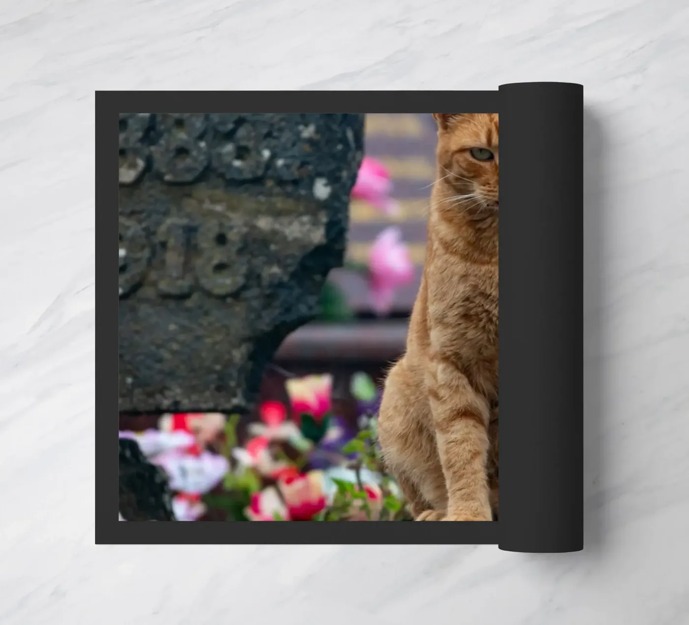 Grumpy cat Fußmatte von anderm