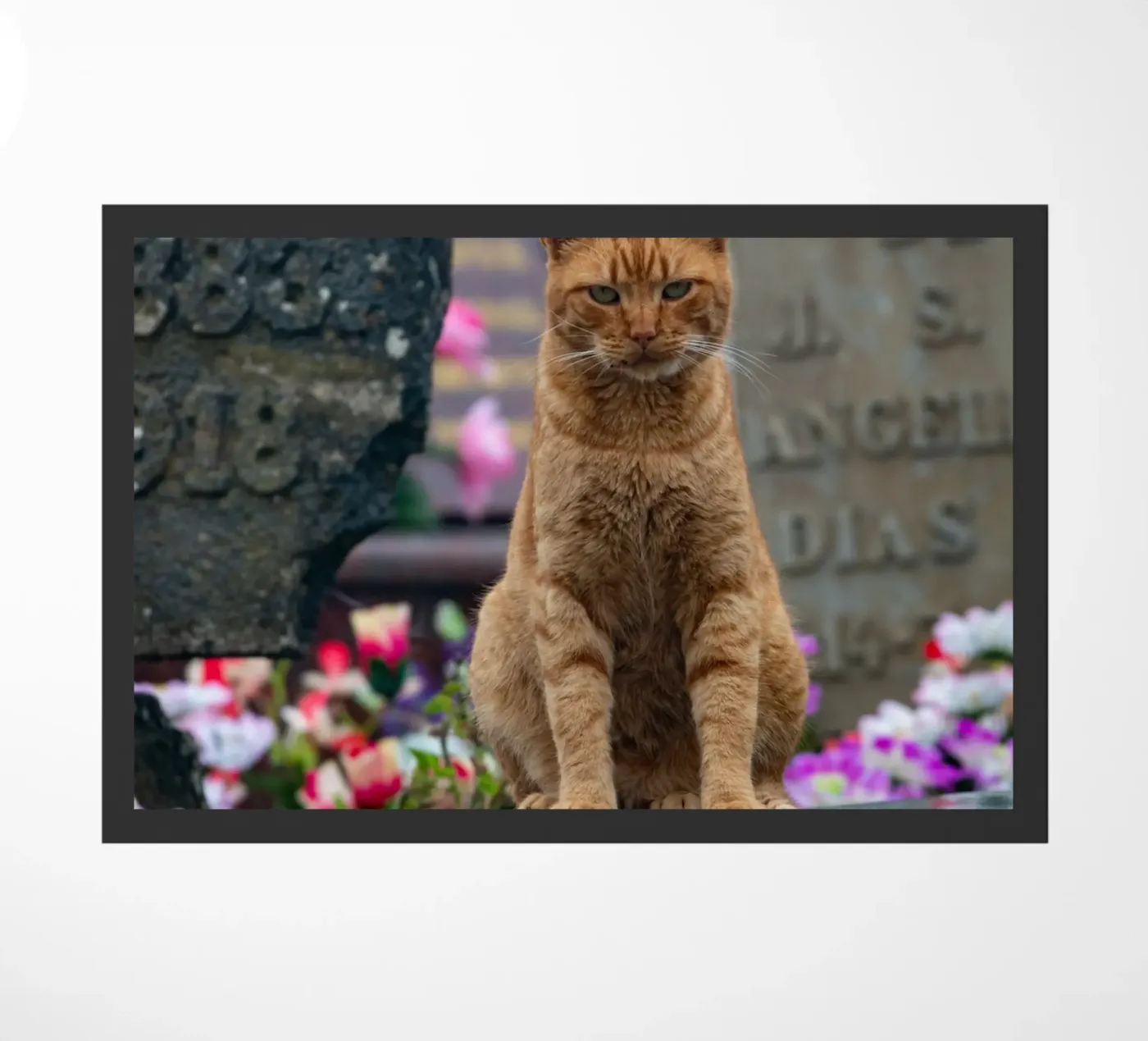 Grumpy cat Fußmatte von anderm