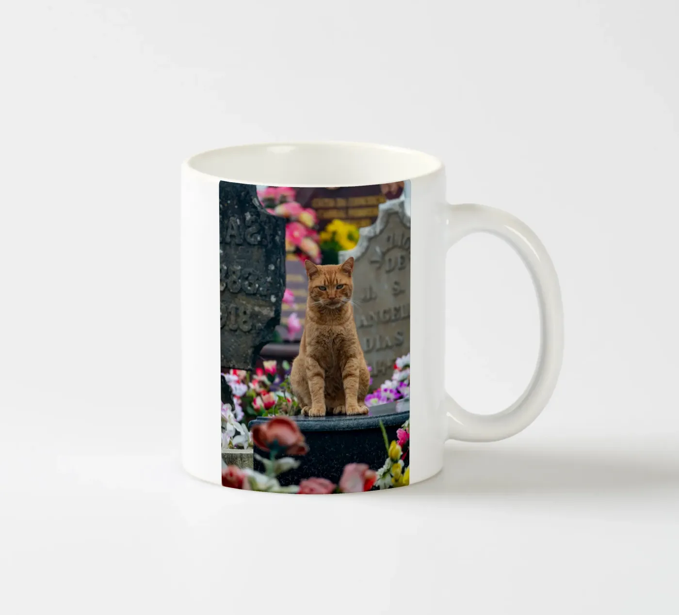 Grumpy cat ceramic mug by anderm