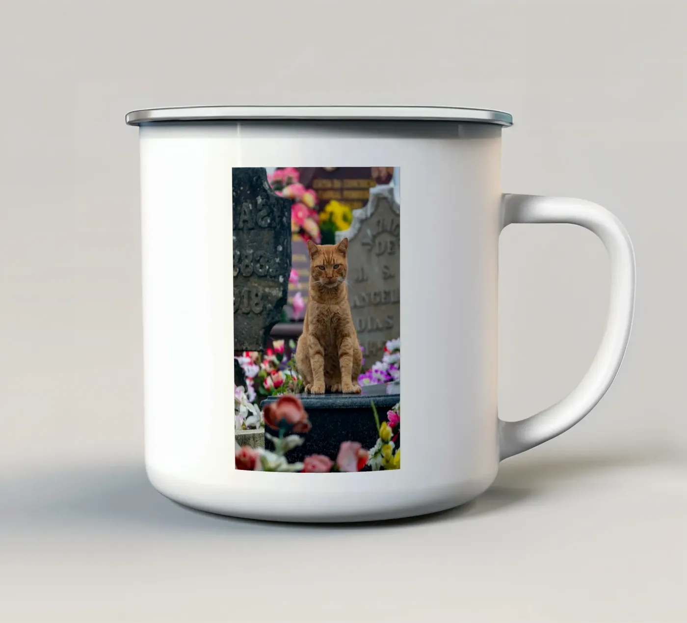 Grumpy cat enamel mug by anderm