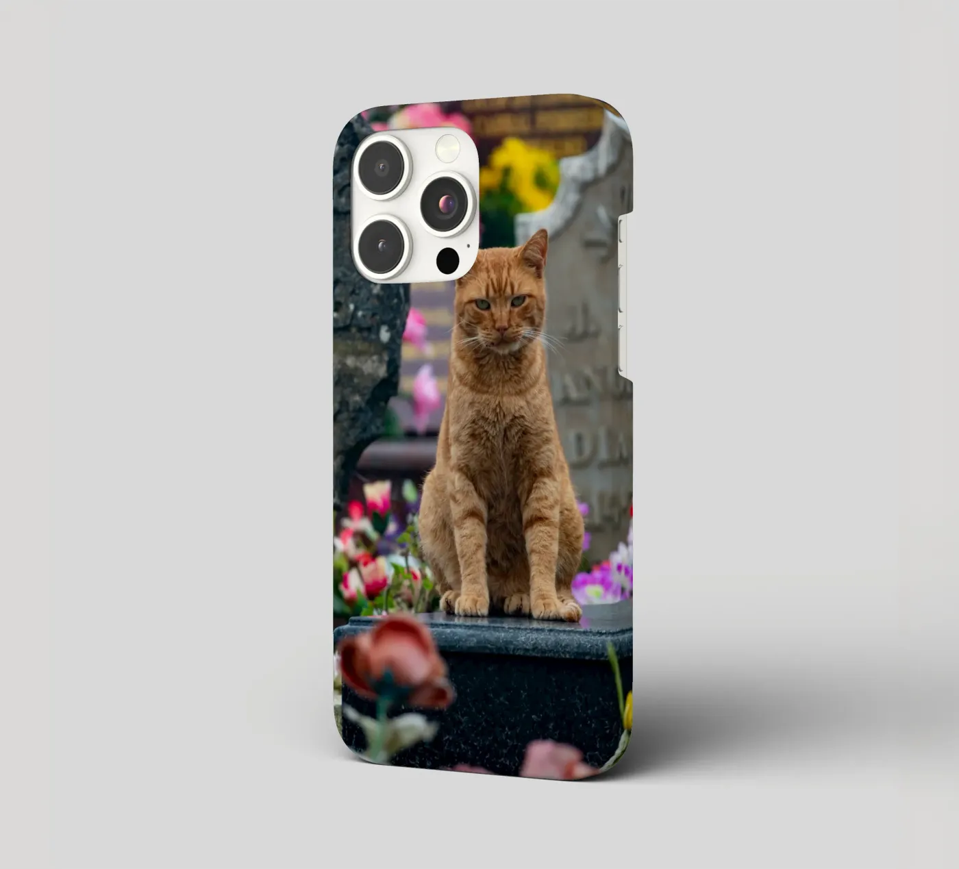 Grumpy cat iphone case by anderm