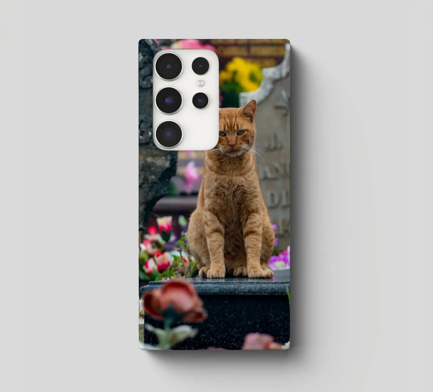 Grumpy cat samsung hoesje van anderm
