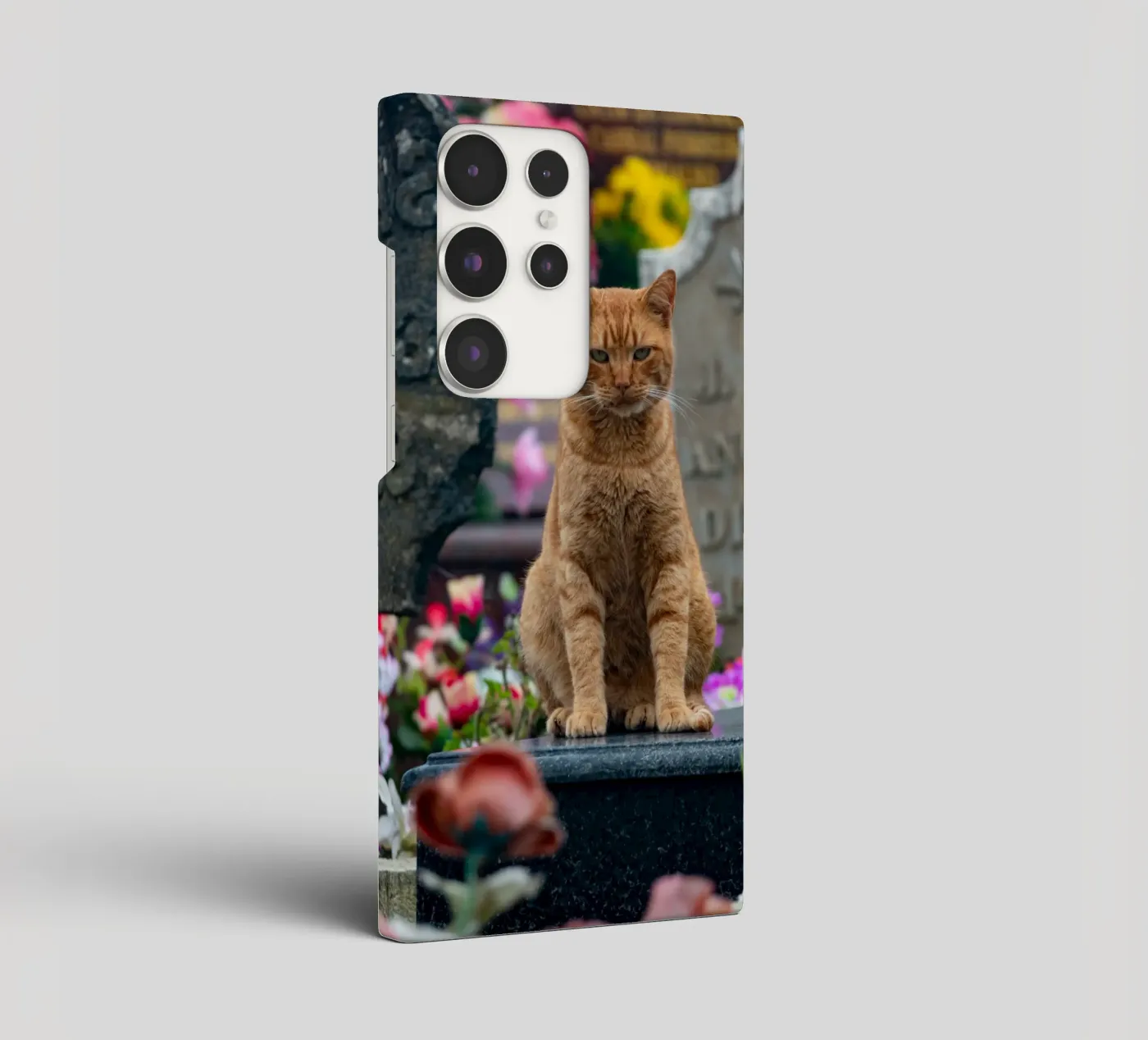Grumpy cat cover samsung da anderm
