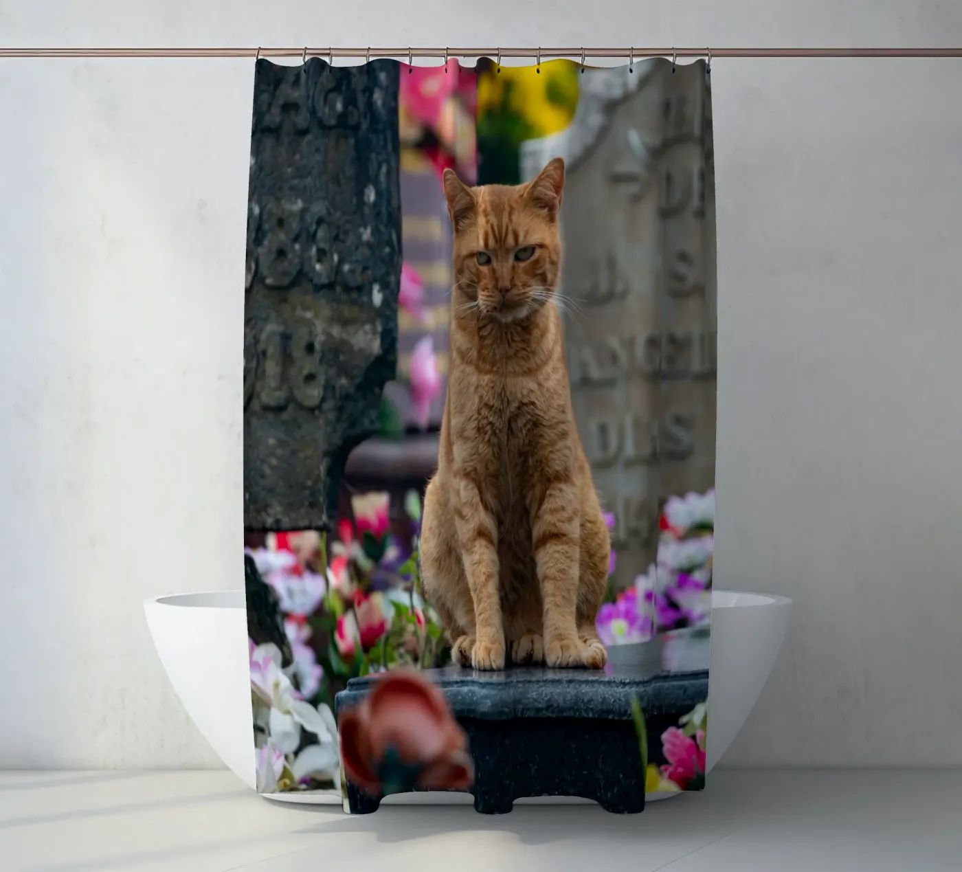 Grumpy cat Duschvorhang von anderm