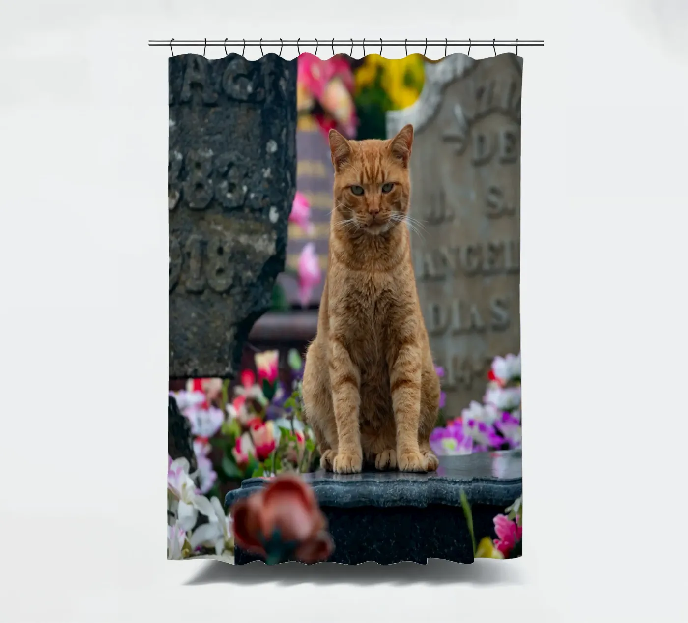 Grumpy cat shower curtain by anderm