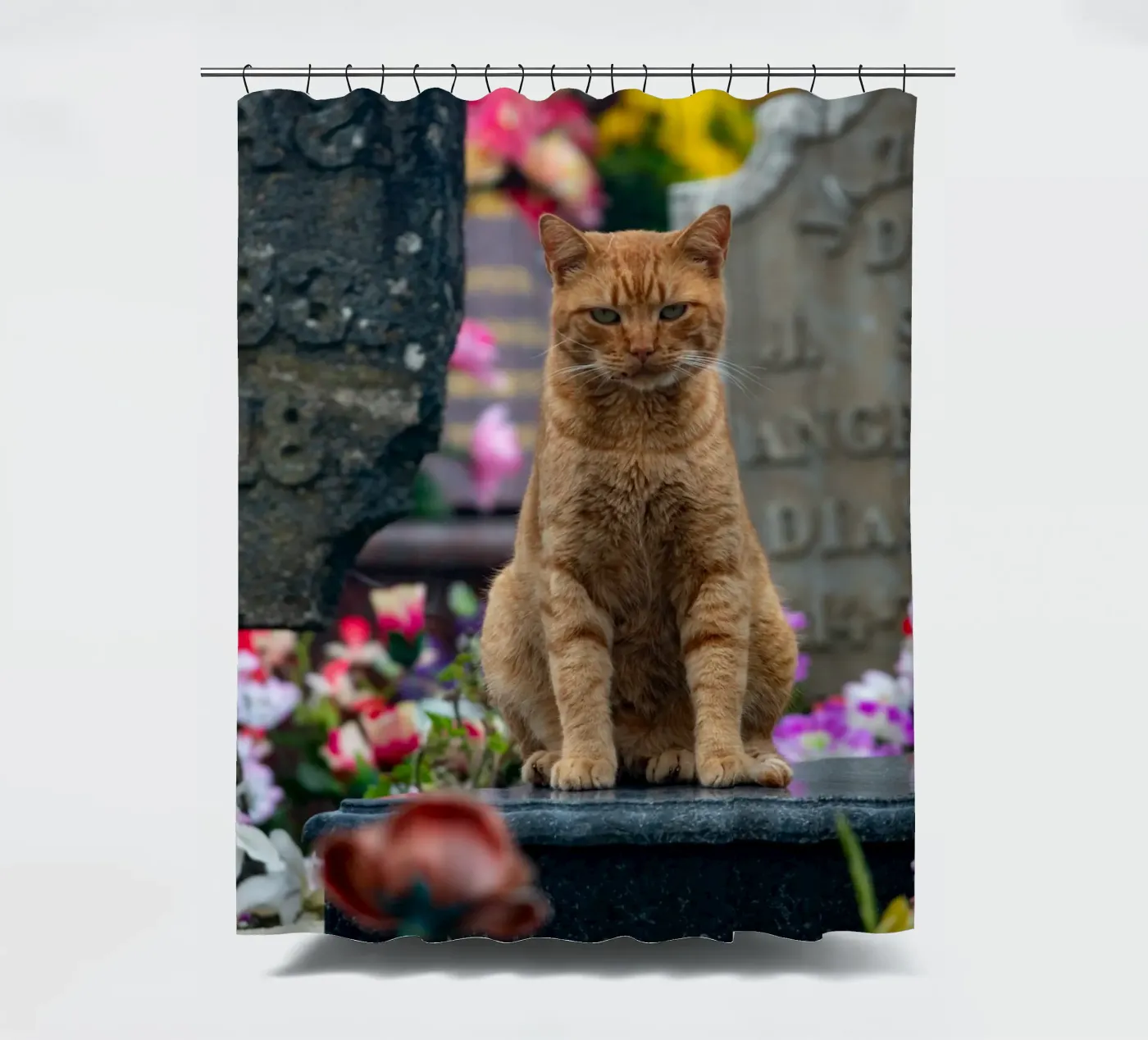 Grumpy cat shower curtain by anderm