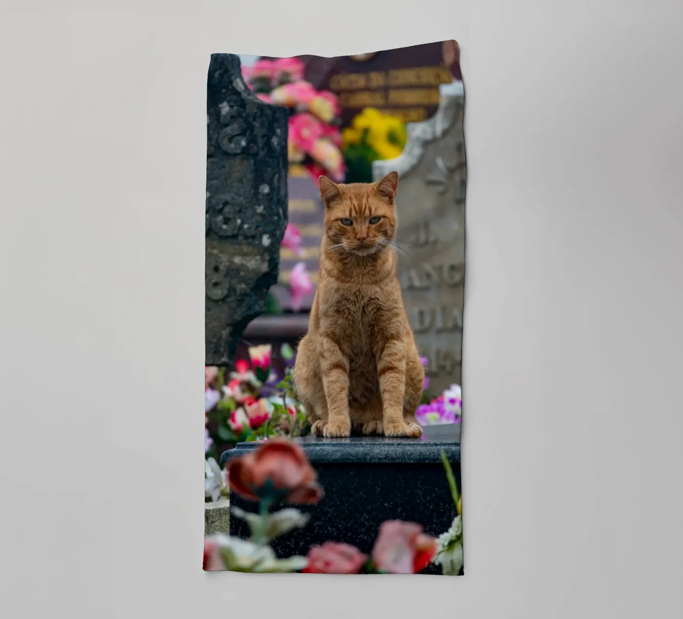 Grumpy cat Handtuch von anderm