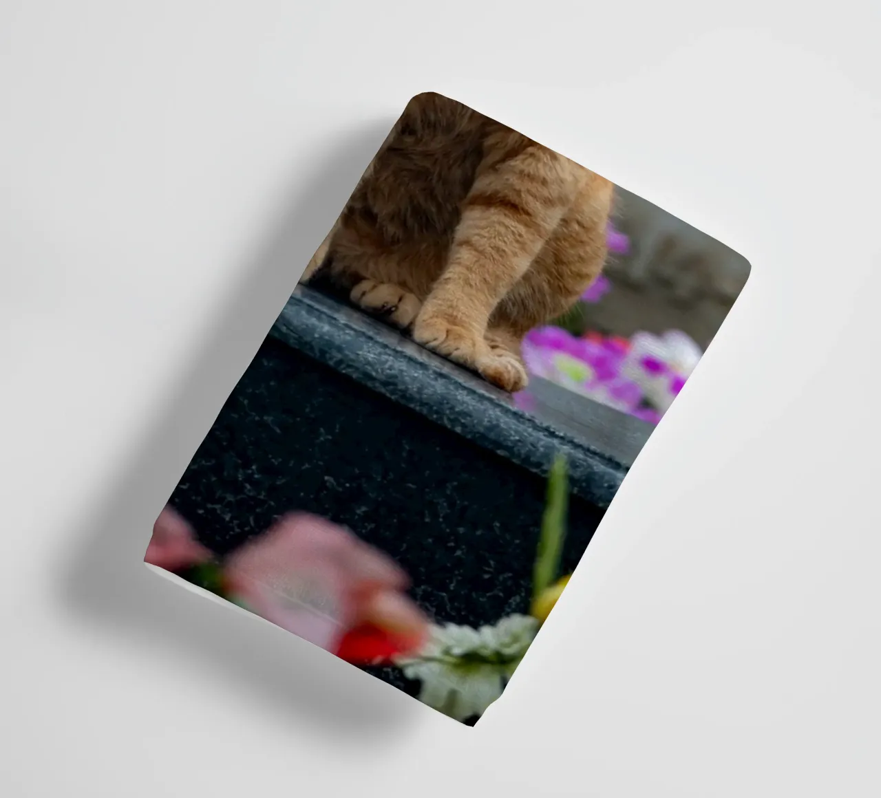 Grumpy cat towel by anderm