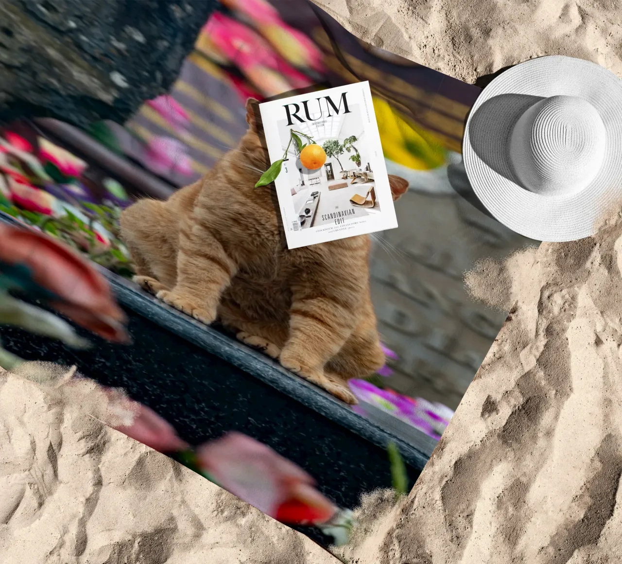 Grumpy cat Strandtuch von anderm