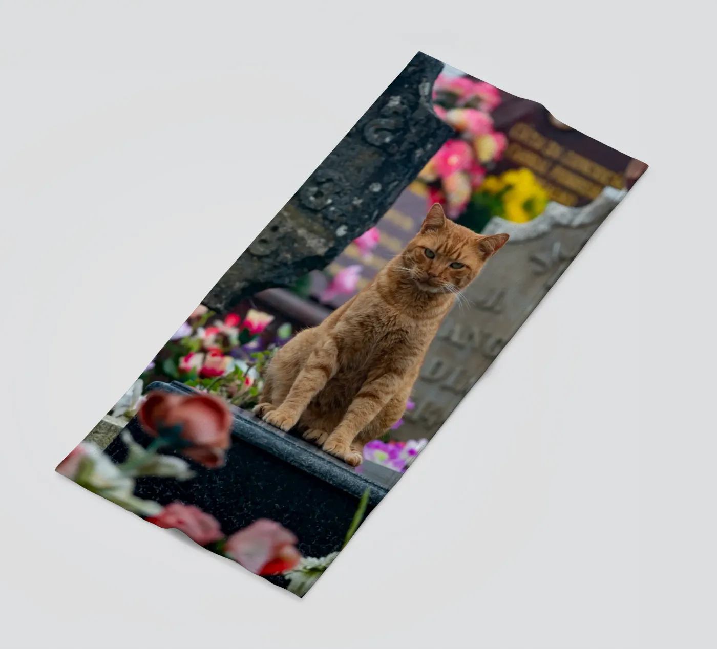 Grumpy cat beach towel by anderm