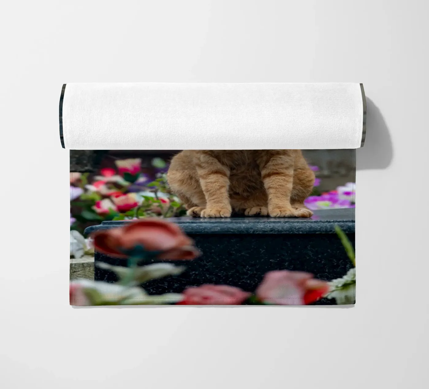 Grumpy cat Strandtuch von anderm