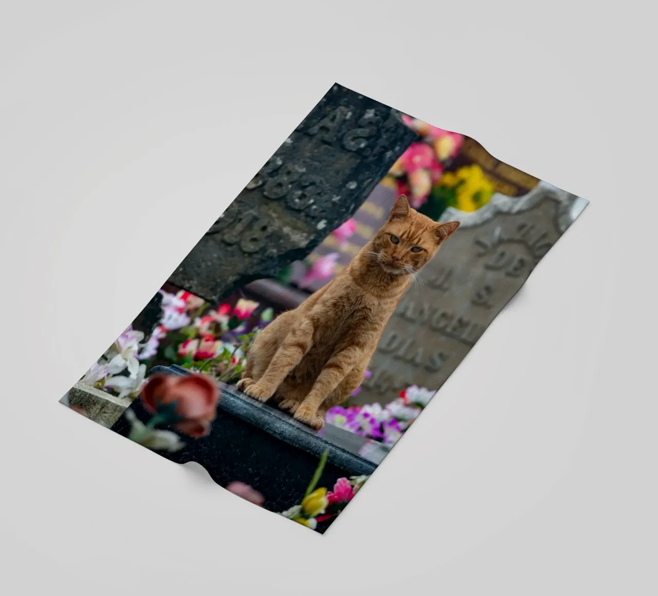 Grumpy cat Strandtuch von anderm