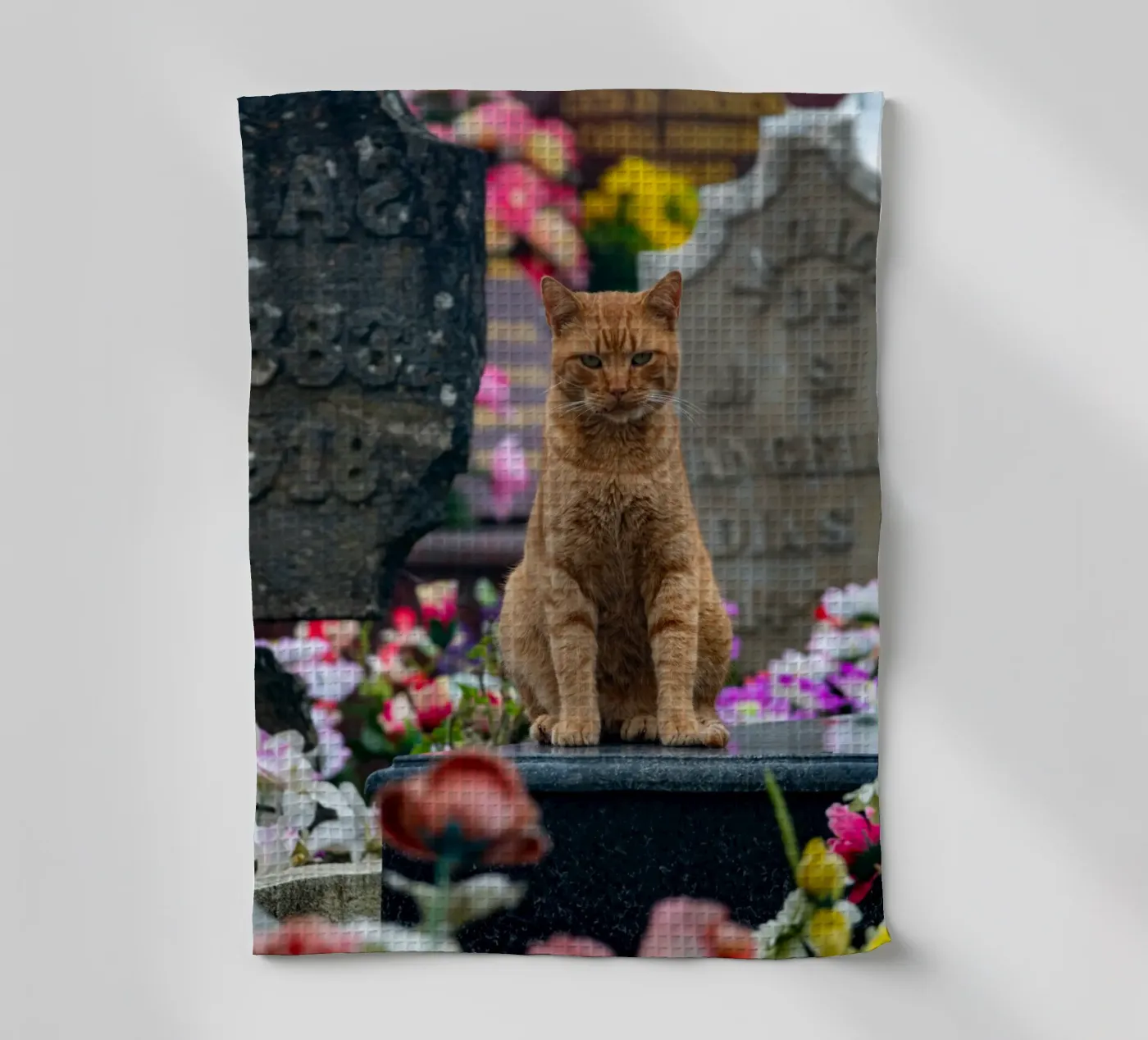 Grumpy cat tea towel by anderm