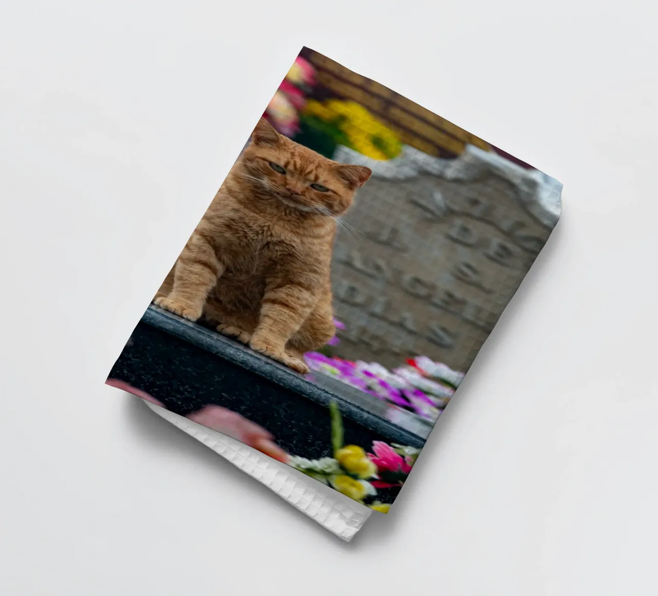 Grumpy cat canovaccio da cucina da anderm