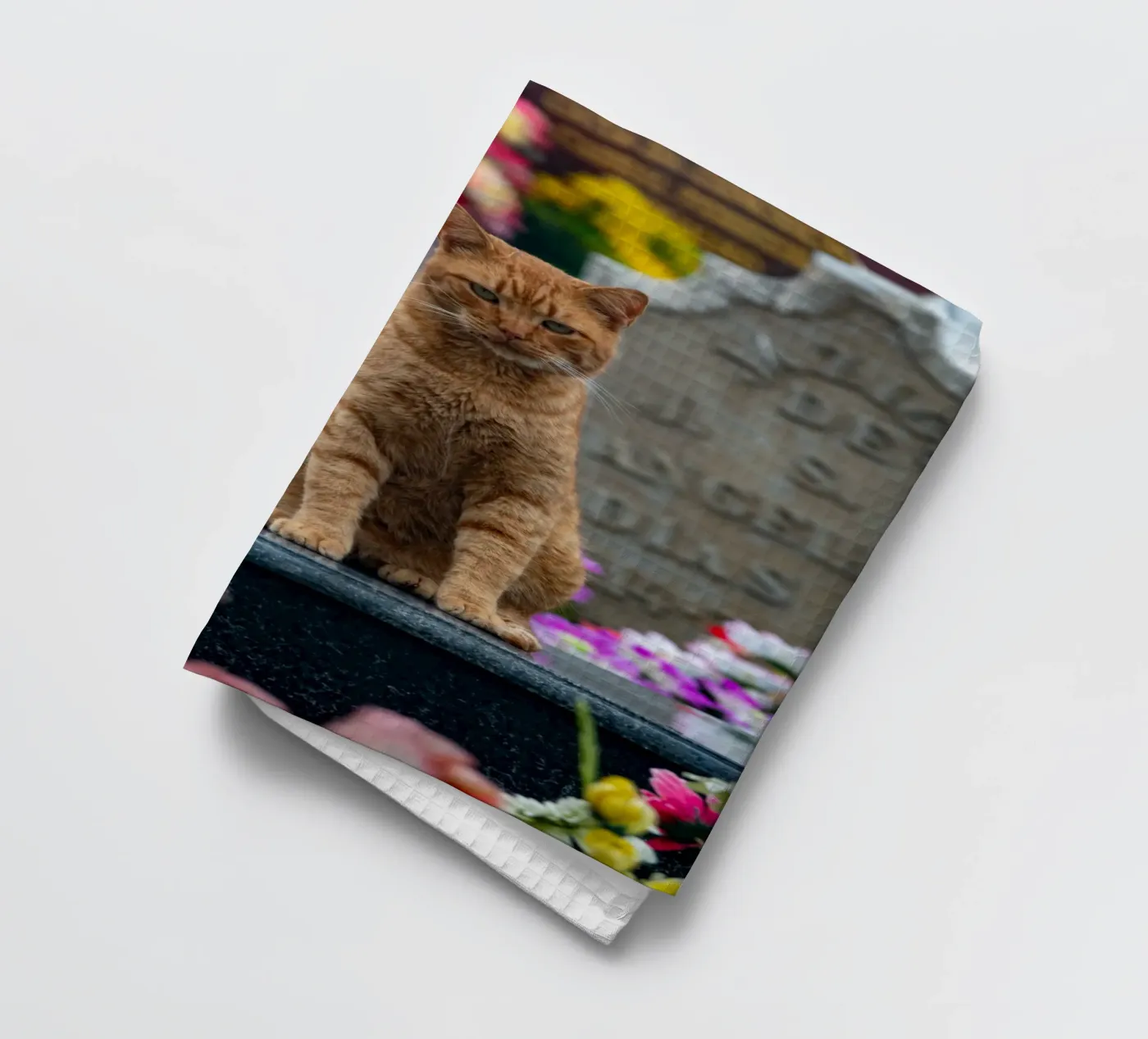 Grumpy cat tea towel by anderm