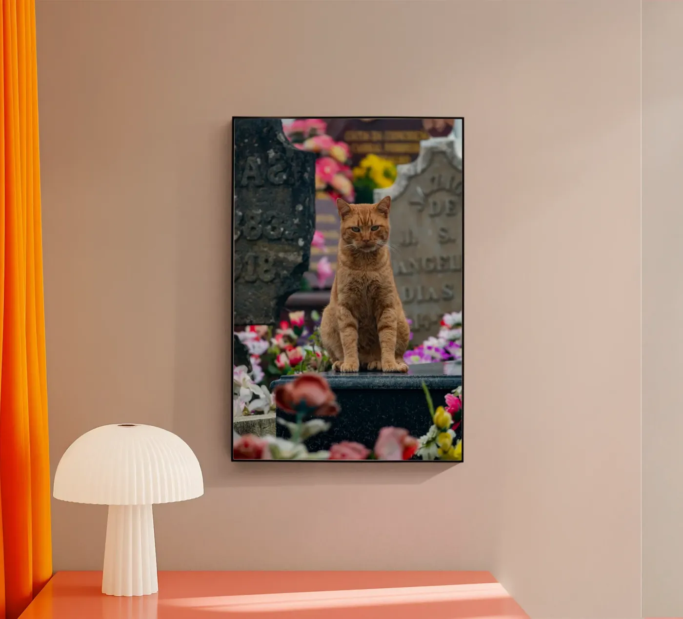 Grumpy cat plexiglas de anderm