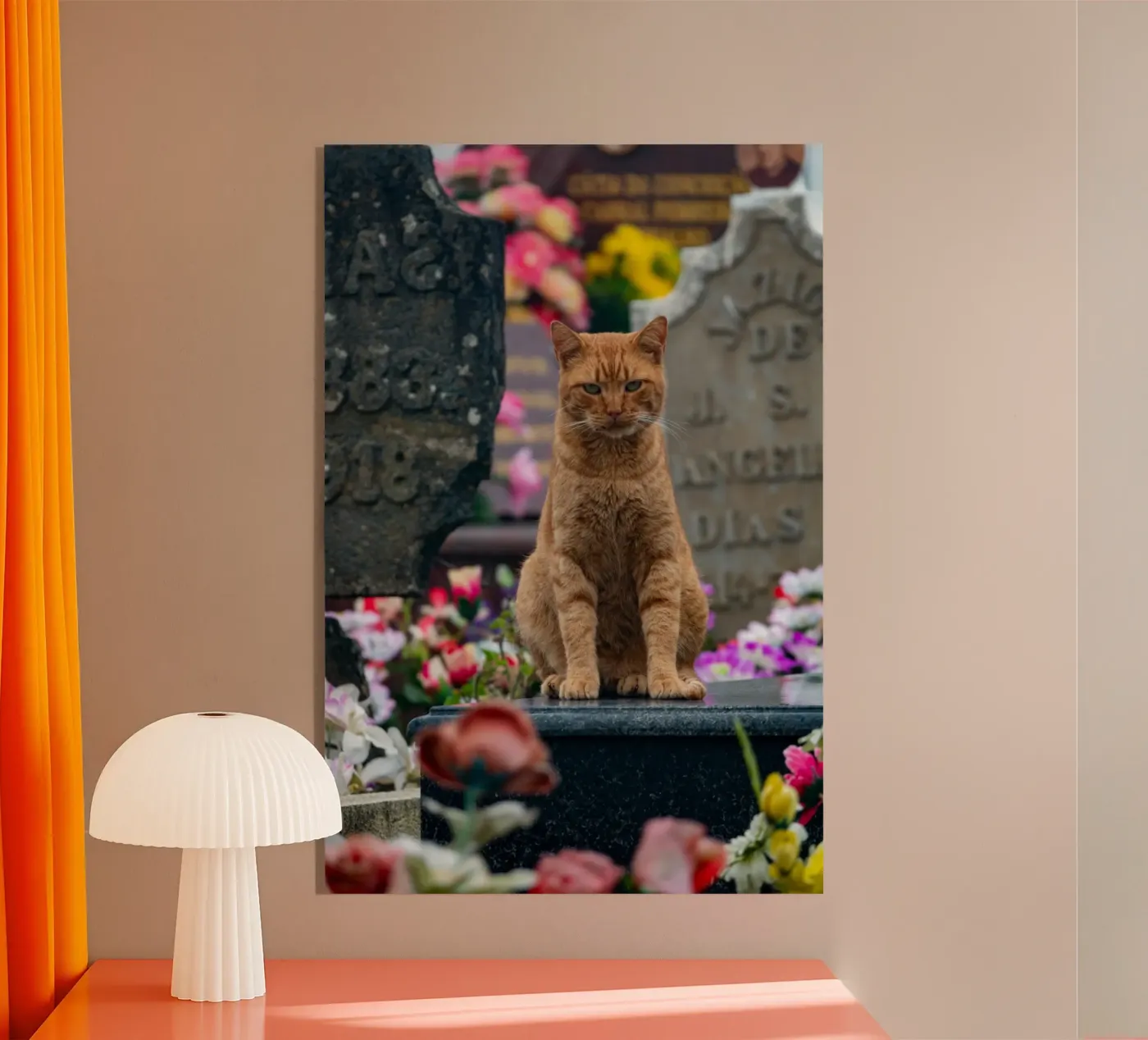 Grumpy cat plexiglas de anderm