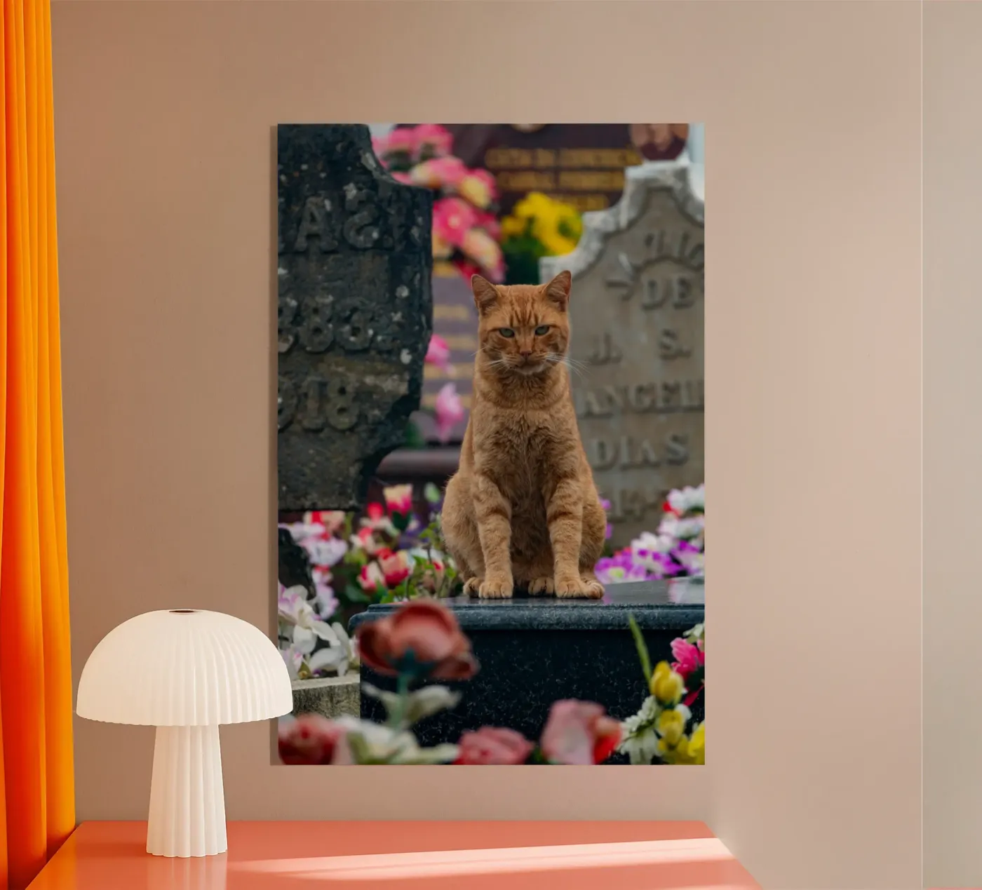 Grumpy cat plexiglas de anderm