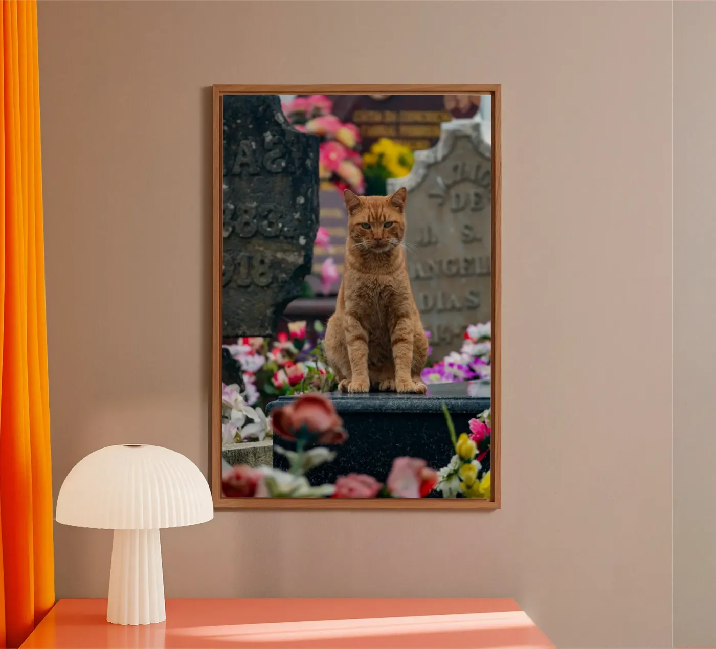 Grumpy cat forex-plaat van anderm