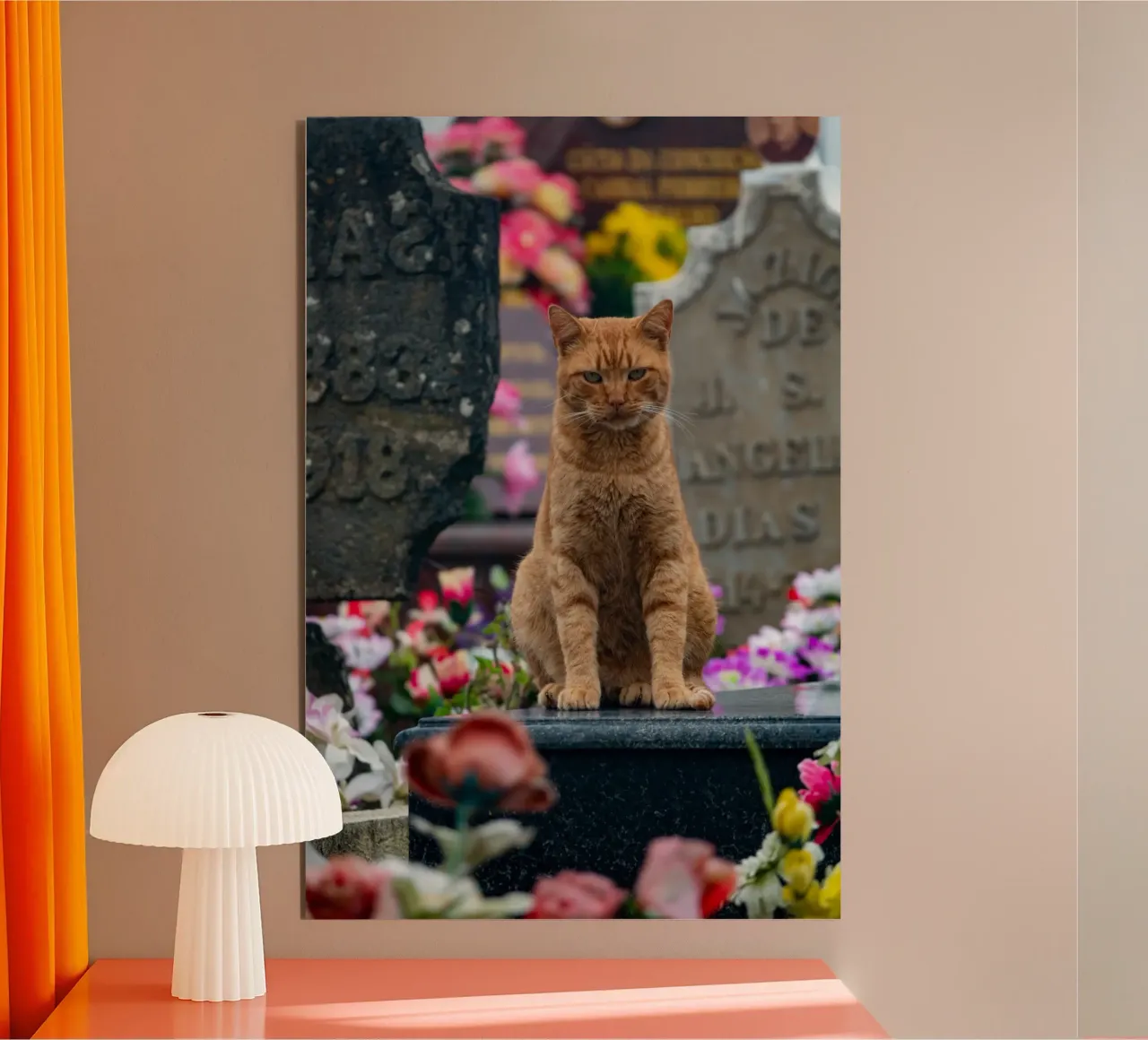 Grumpy cat alluminio dibond da anderm