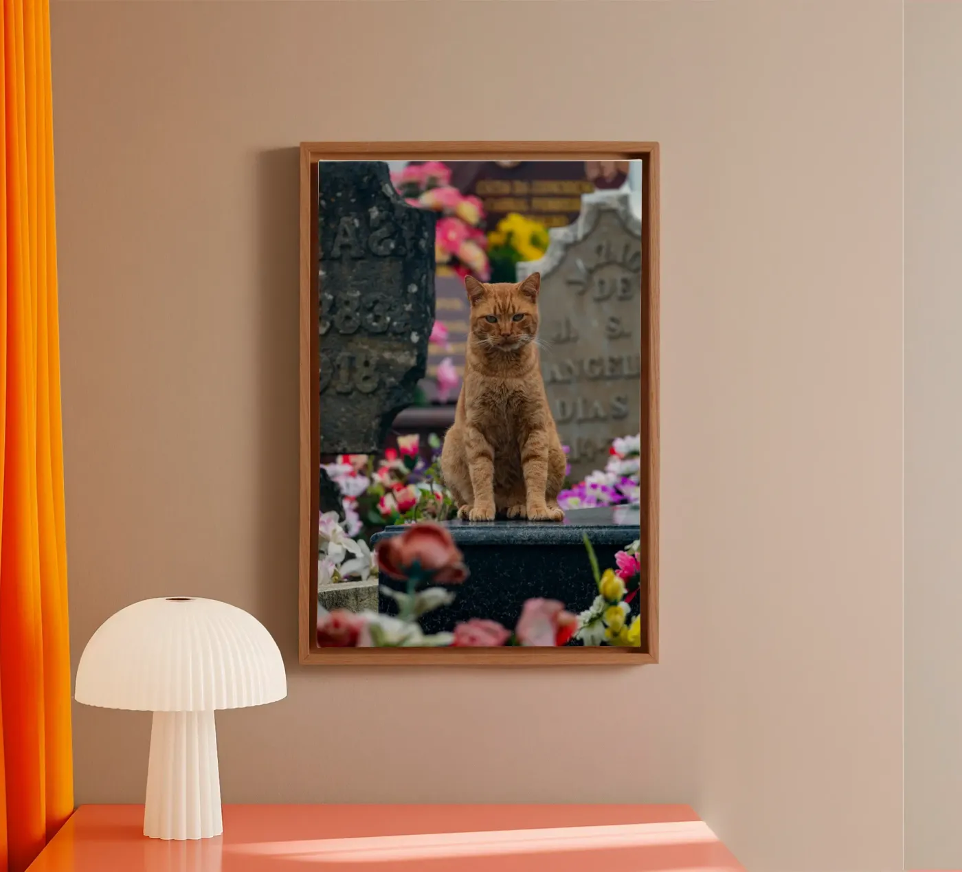 Grumpy cat canvas van anderm