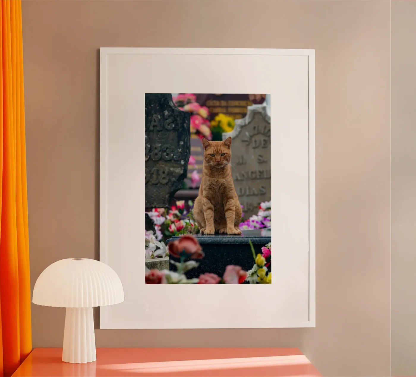 Grumpy cat Poster von anderm