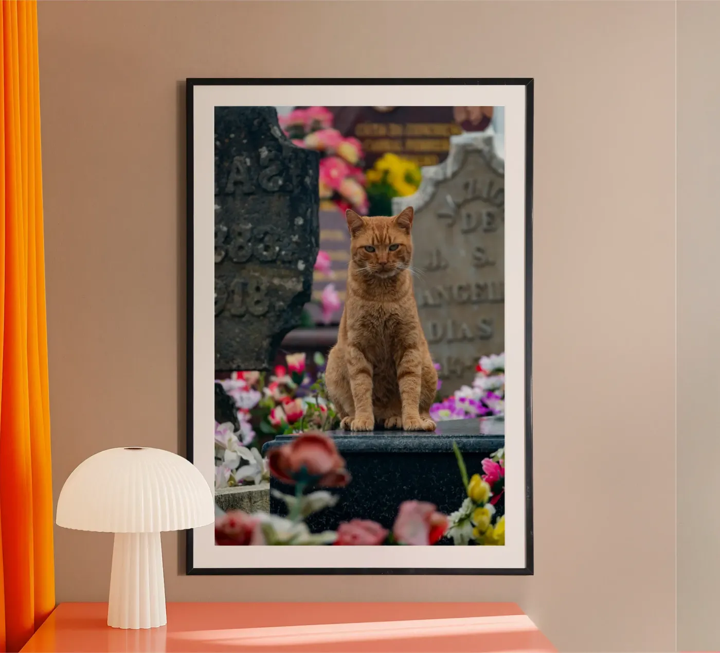 Grumpy cat Poster von anderm