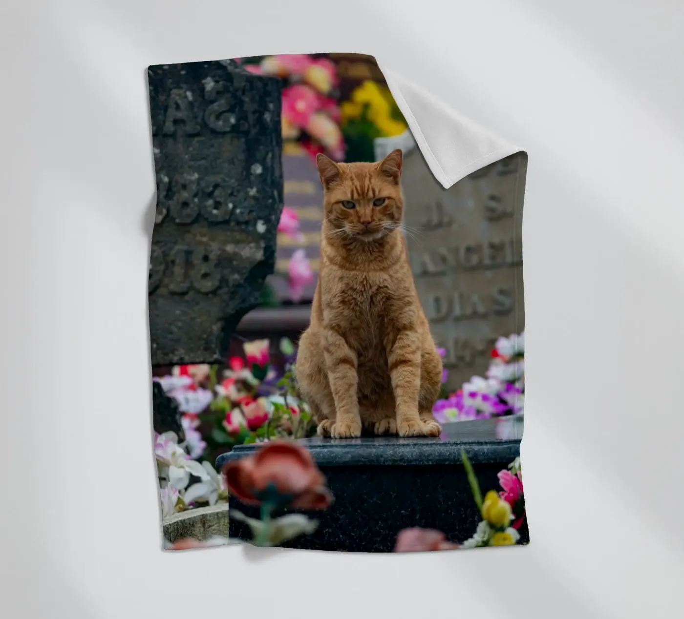 Grumpy cat Fleecedecke von anderm