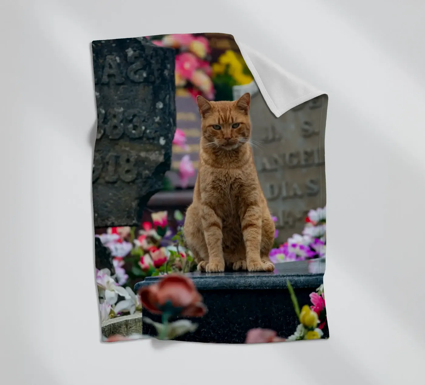 Grumpy cat Fleecedecke von anderm