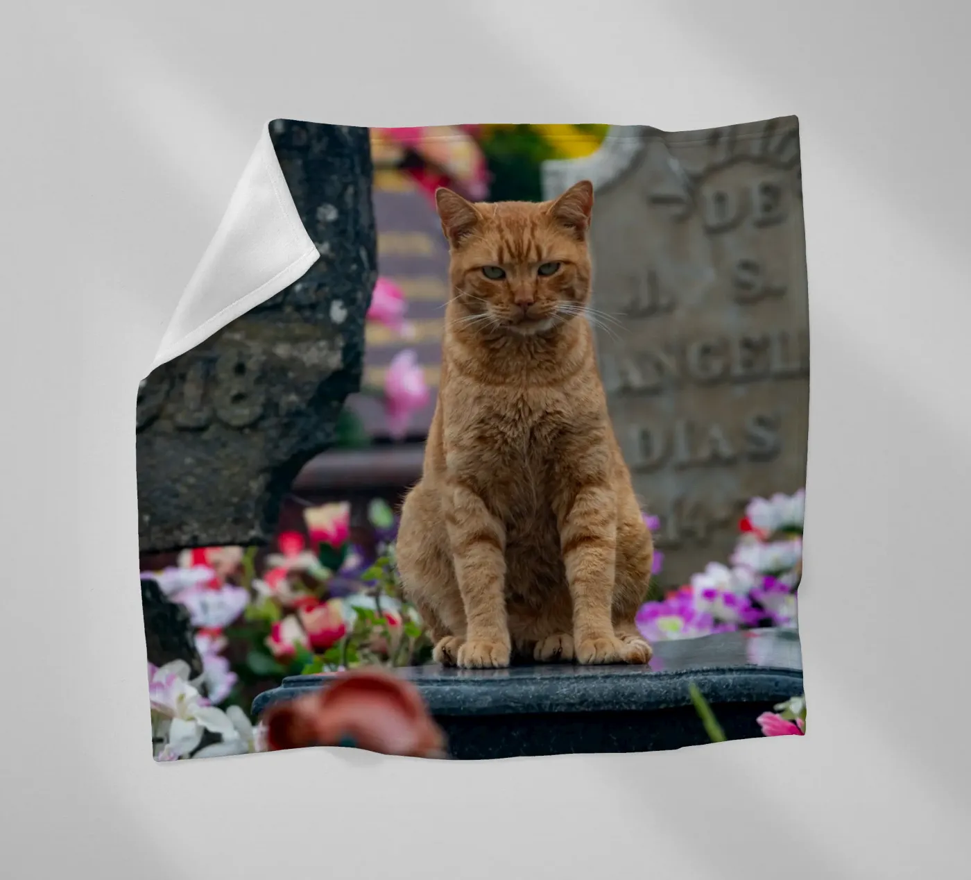 Grumpy cat Fleecedecke von anderm