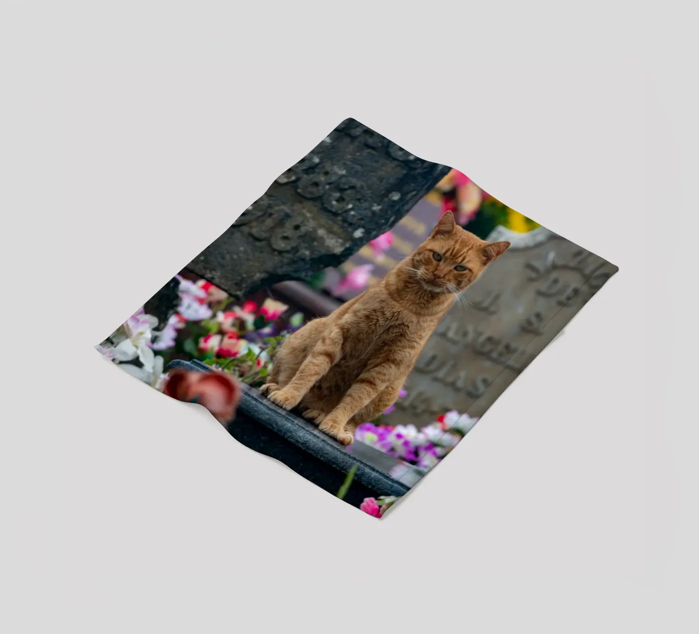 Grumpy cat Fleecedecke von anderm