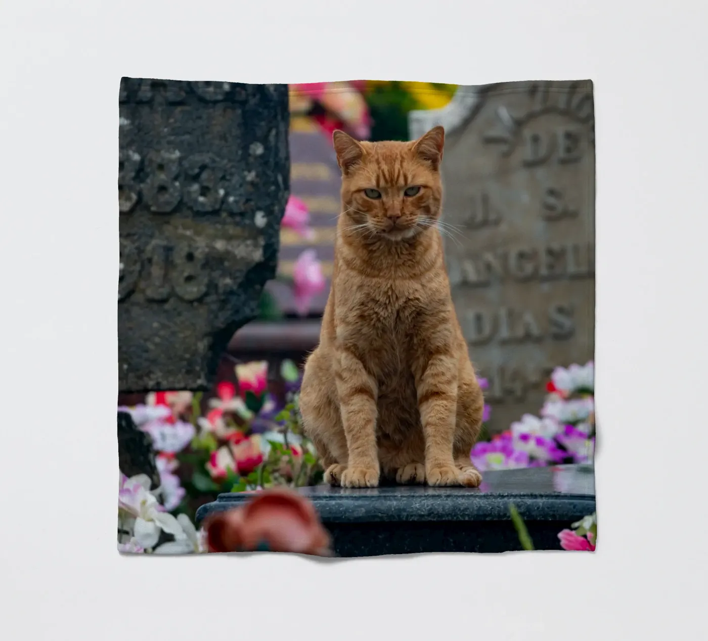 Grumpy cat Fleecedecke von anderm
