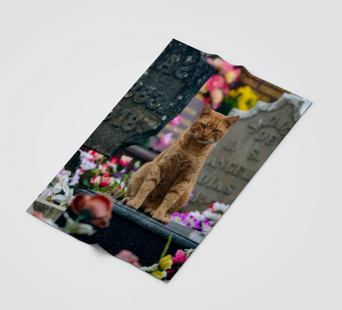 Grumpy cat Fleecedecke von anderm