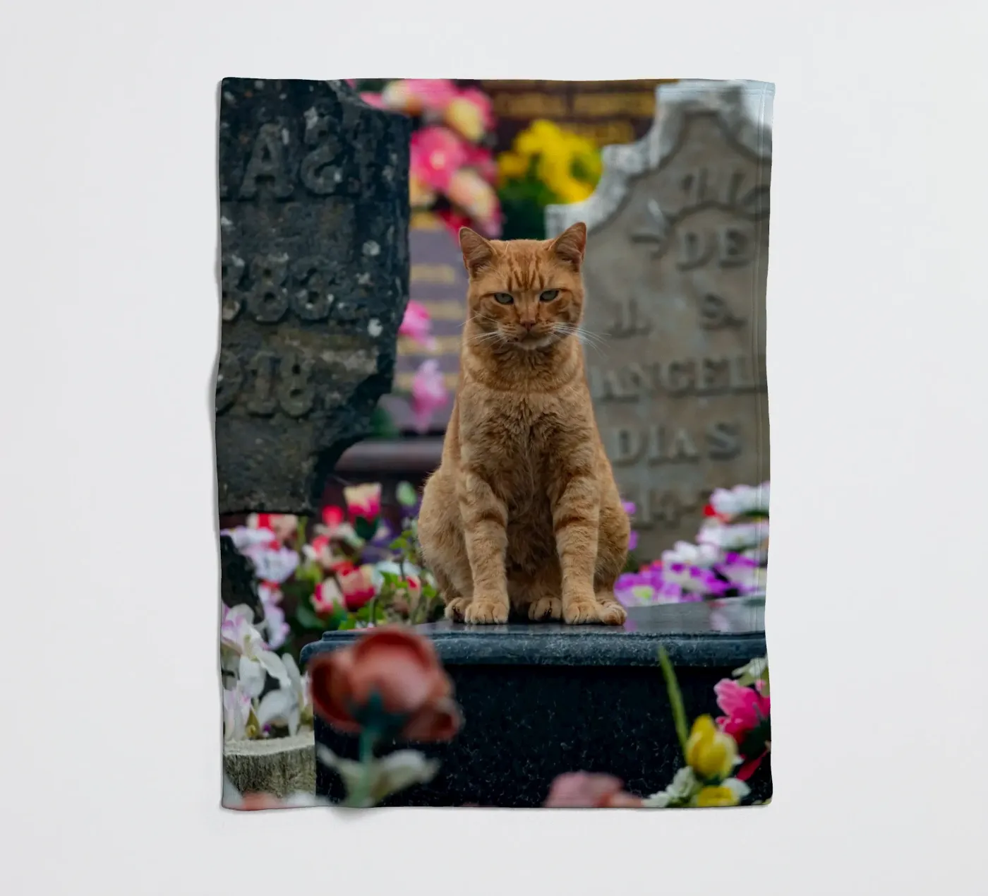 Grumpy cat Fleecedecke von anderm