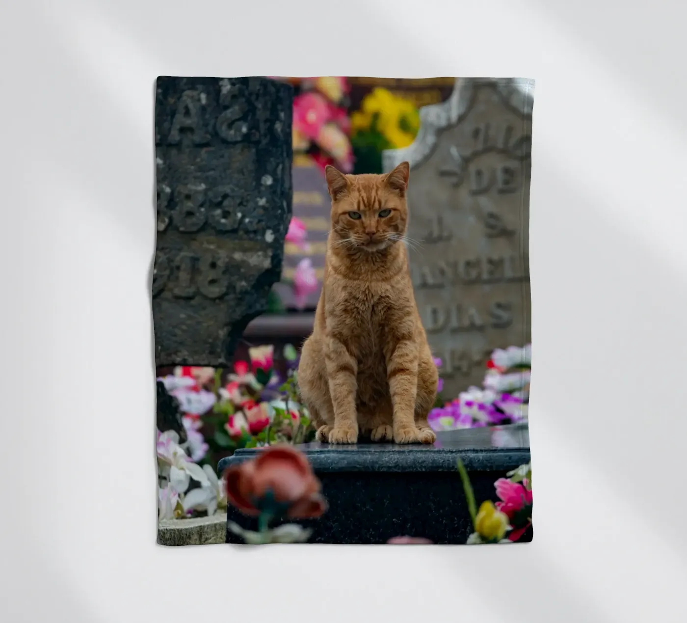 Grumpy cat Fleecedecke von anderm