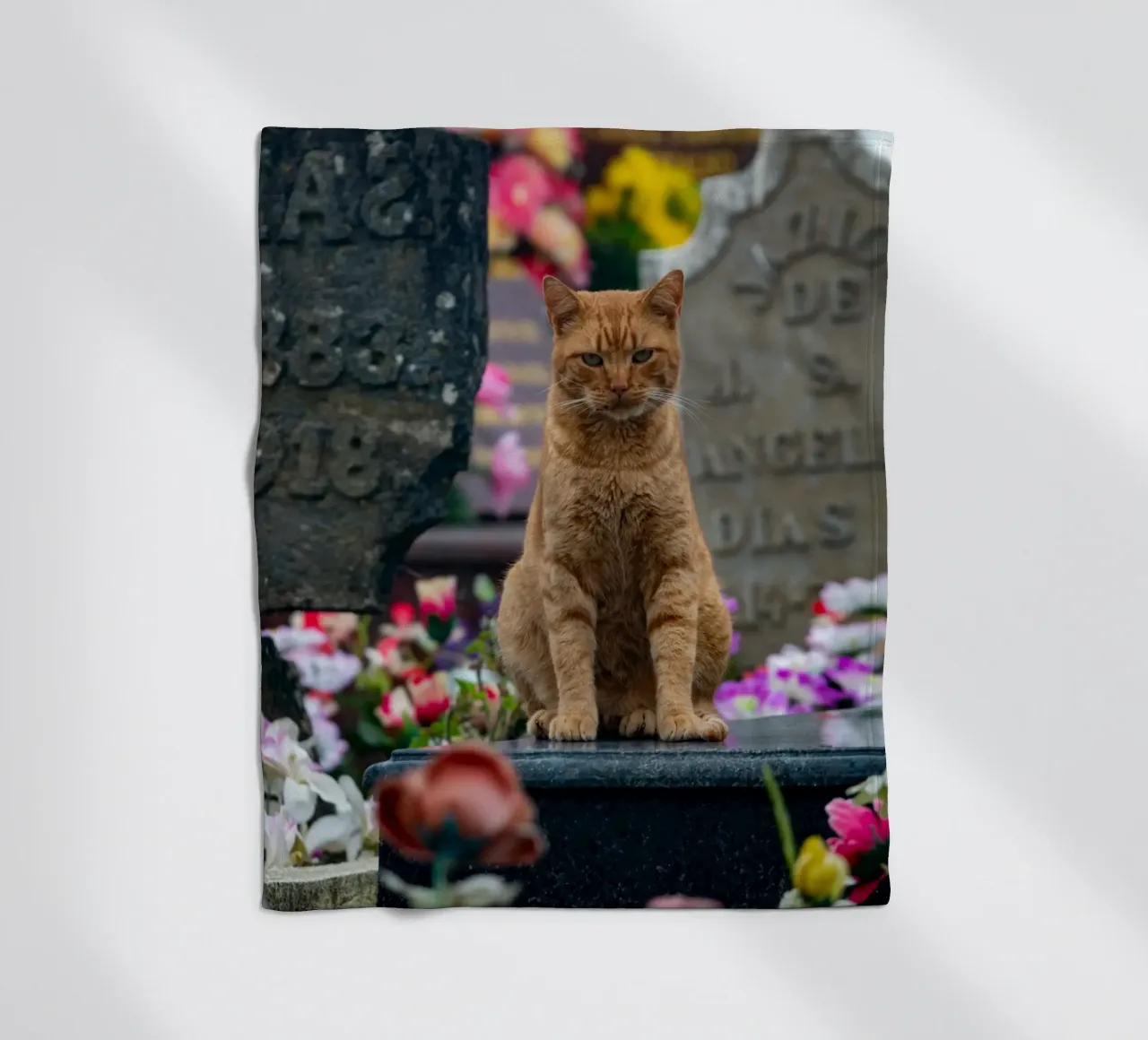 Grumpy cat coperta in pile da anderm