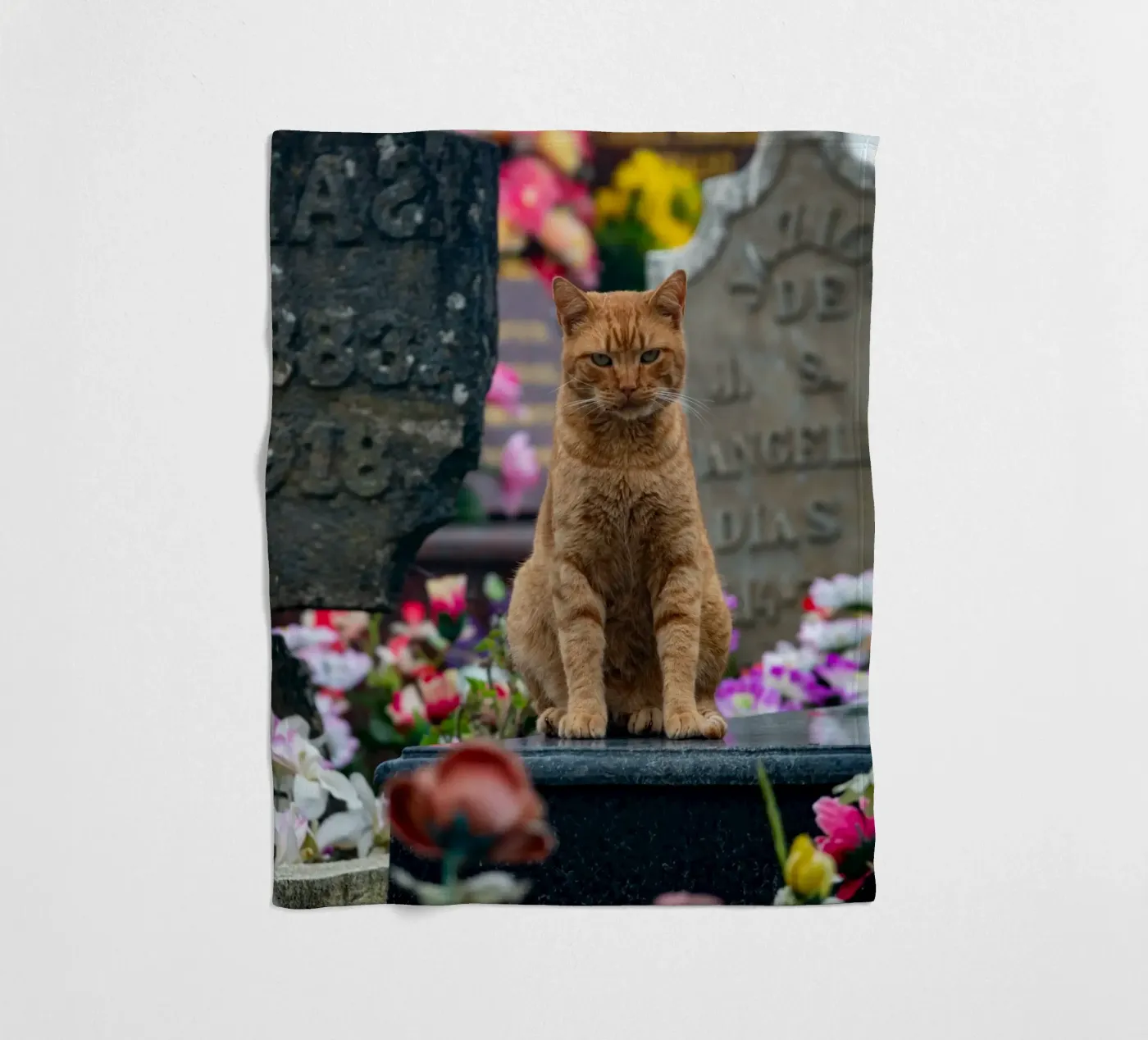 Grumpy cat Fleecedecke von anderm