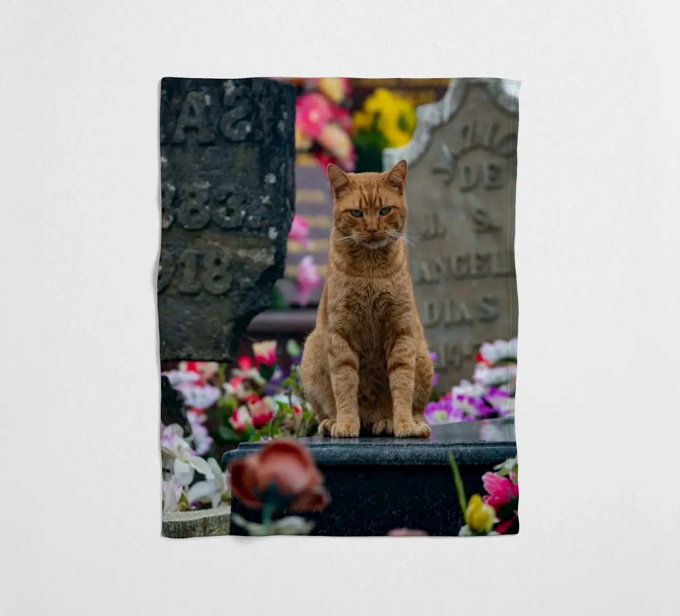 Grumpy cat Fleecedecke von anderm