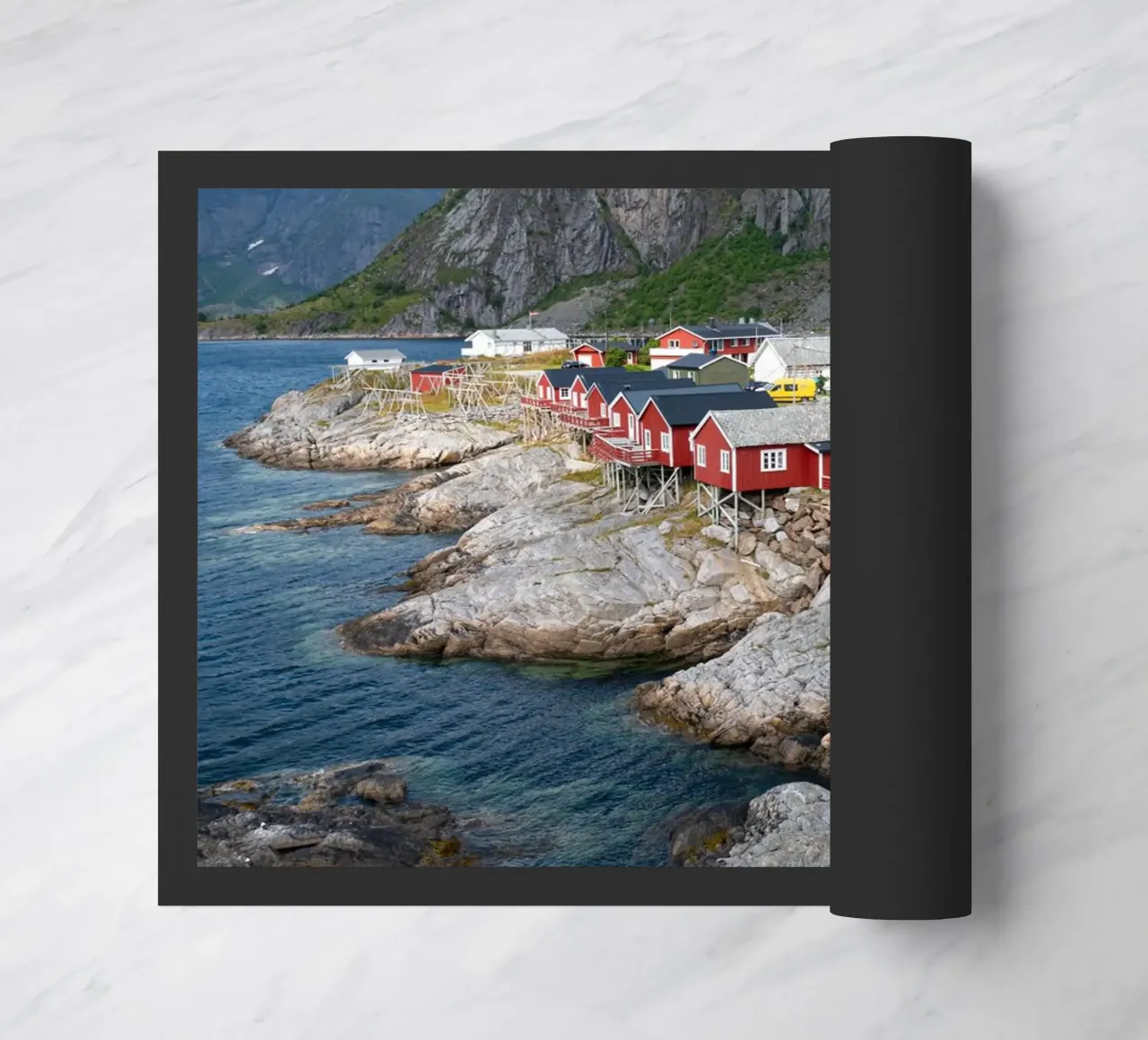 Hamnøy zerbino da anderm