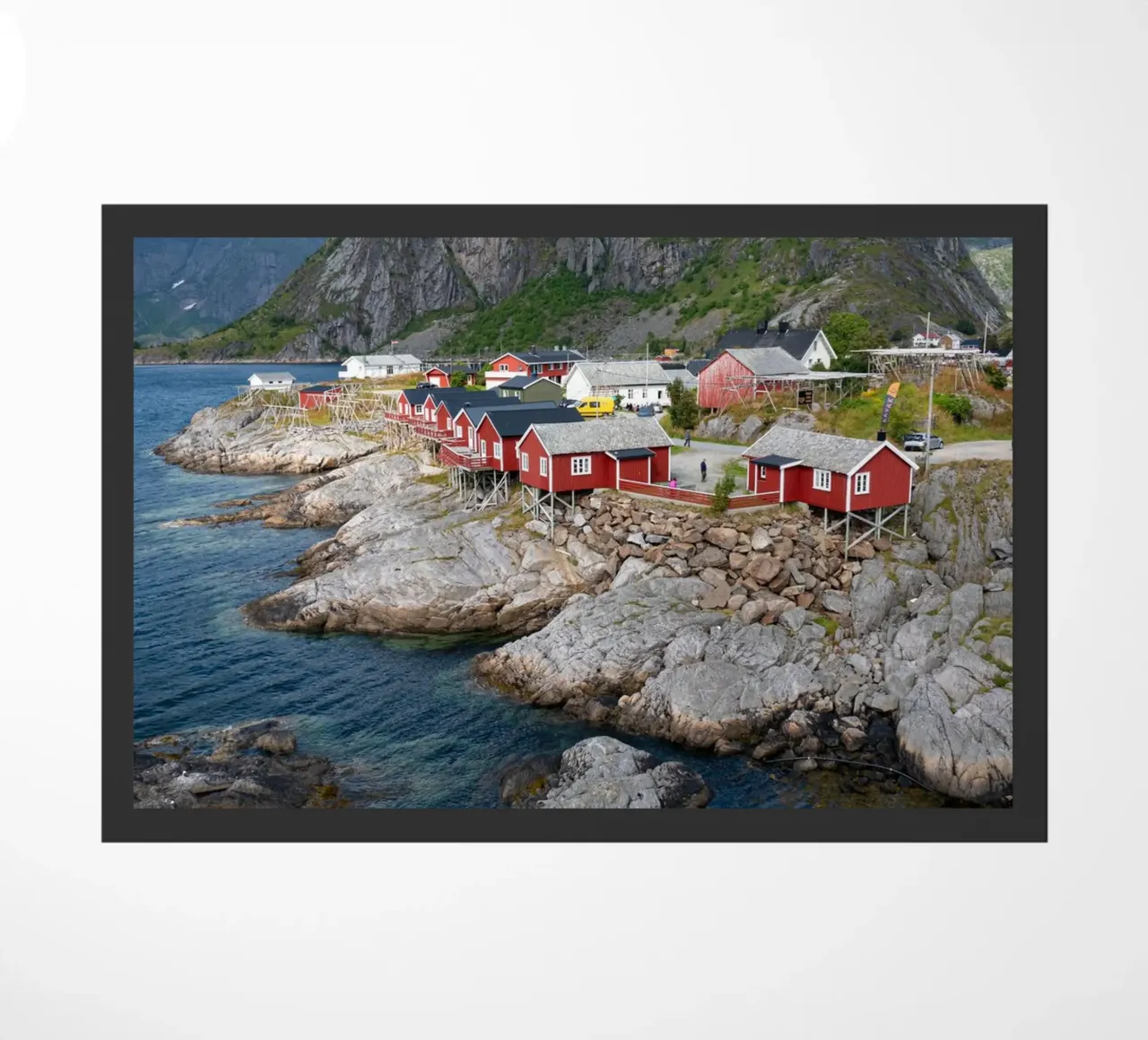 Hamnøy zerbino da anderm