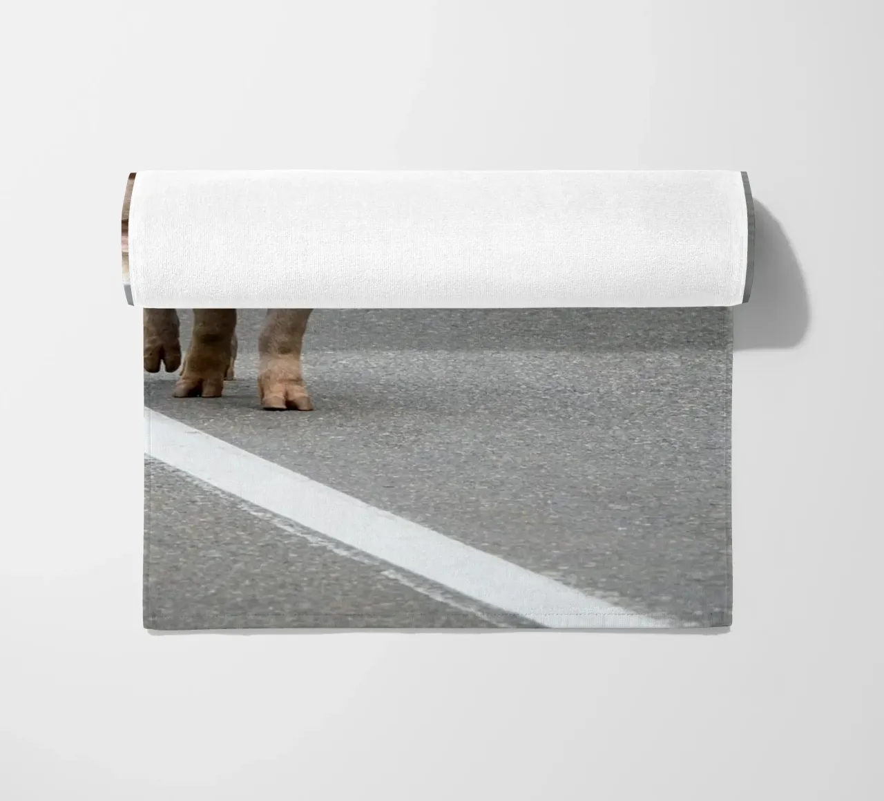 Piggy walking on the road telo mare da anderm
