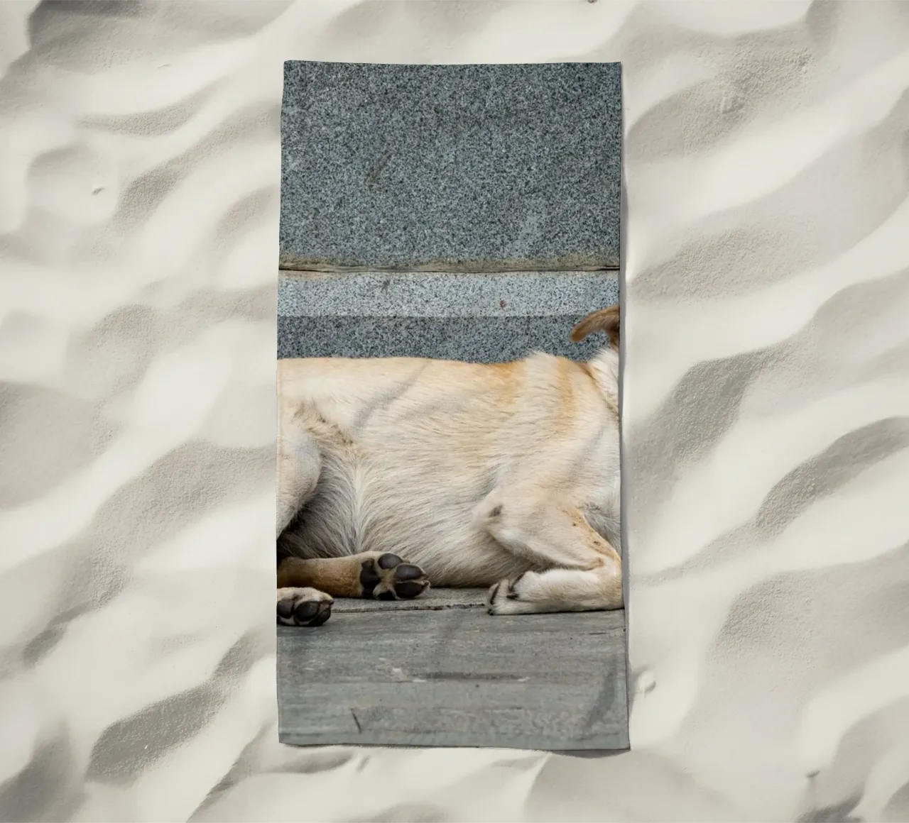 Cane addormentato per strada telo mare da anderm