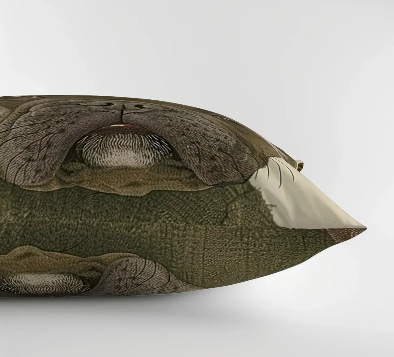 Compagno affascinante cuscino da Rustic Grace Studio 02