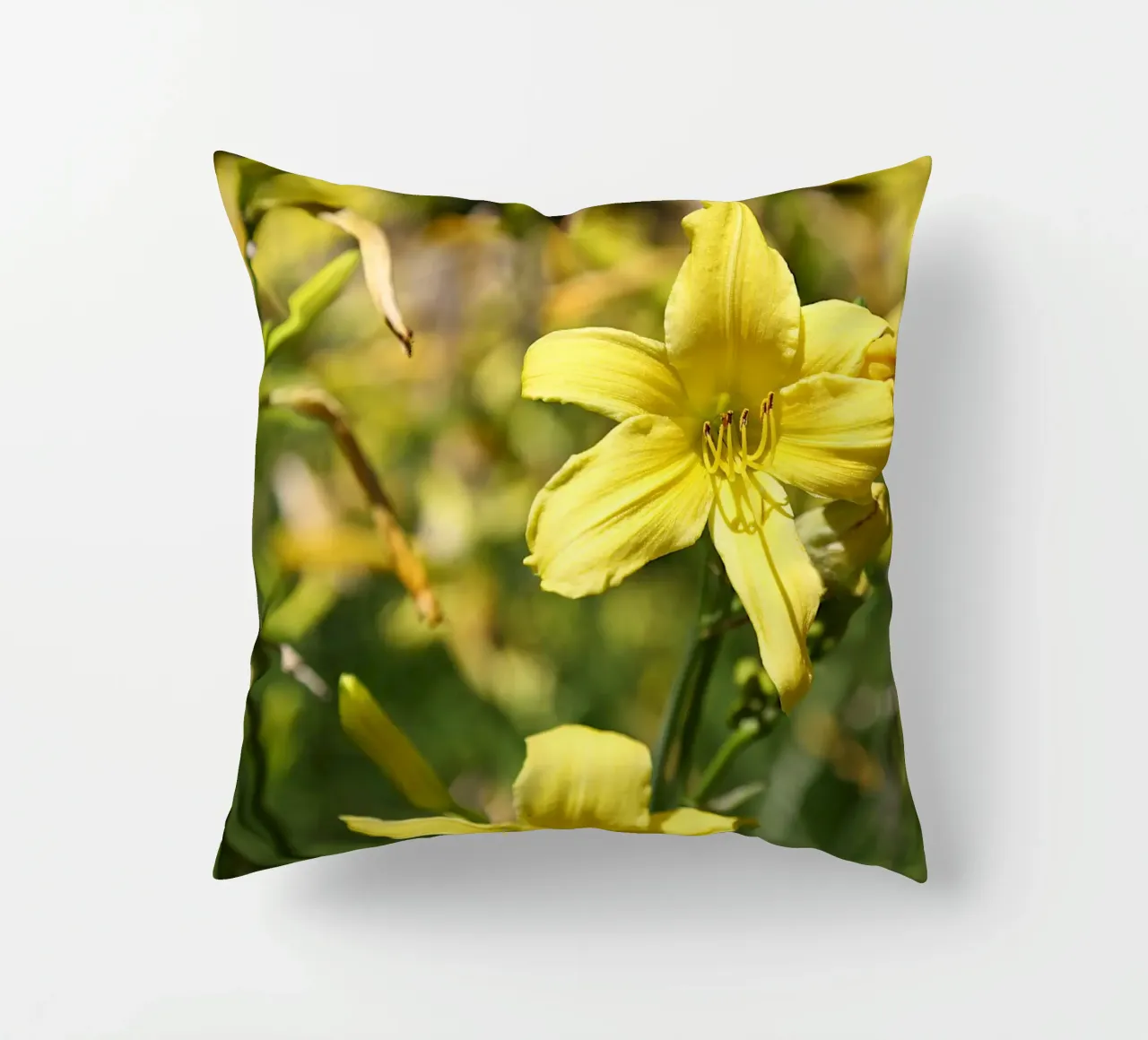 Daylily cuscino da Edenart