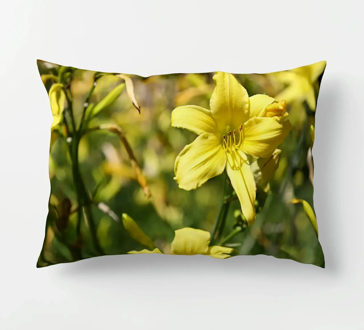 Daylily cuscino da Edenart