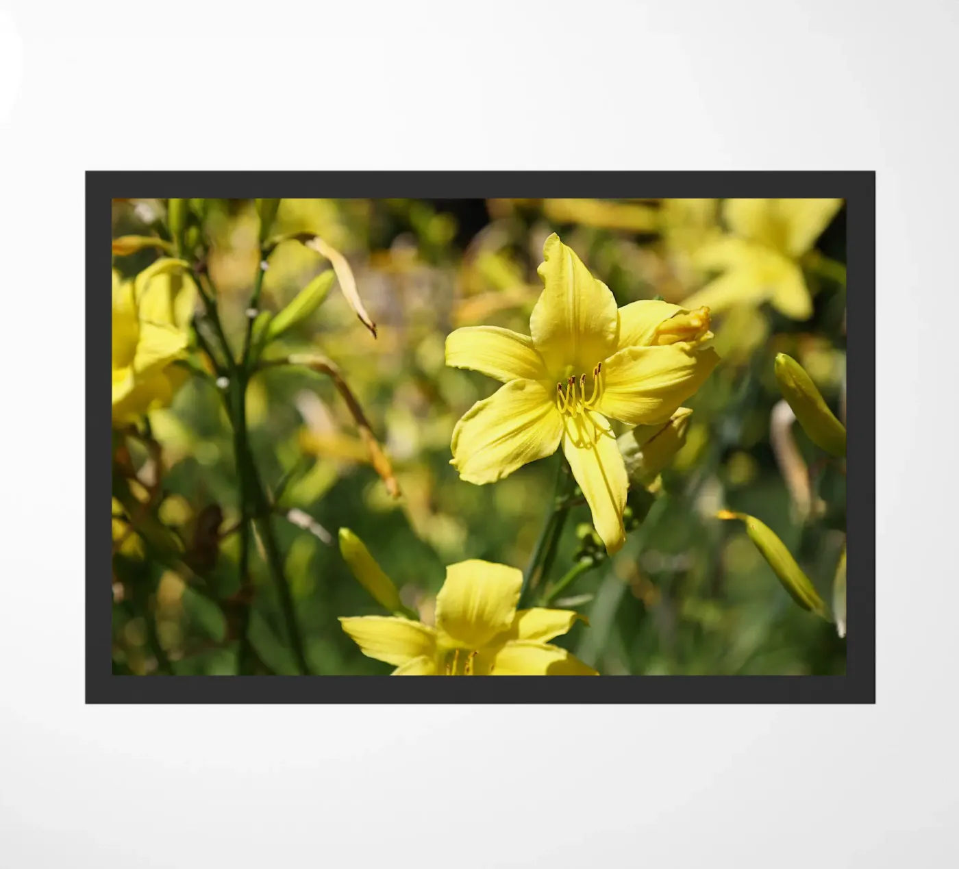 Daylily deurmat van Edenart