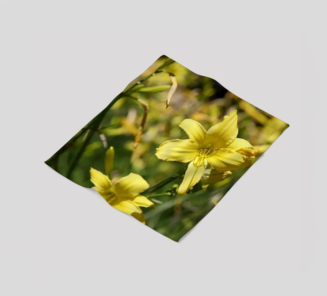 Daylily coperta in pile da Edenart