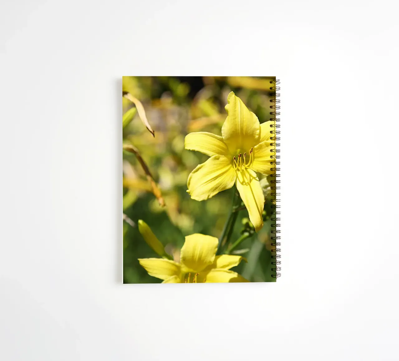 Daylily spiral notebook by Edenart